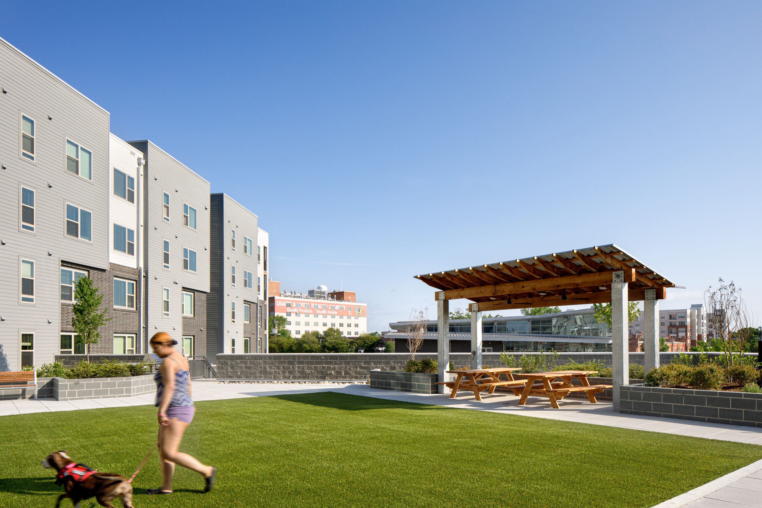 Elevated courtyard greenspace with lady walking dog